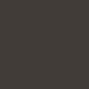 Kleurstaal Grafietzwart (u961 ST2 | RAL7016)
