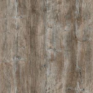 Kleurstaal Ponderosa Pine (R55004 RU | R4531)