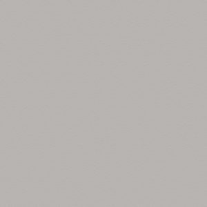 Kleurstaal Wit Aluminium (F70004 MP | F8582 | RAL9006)