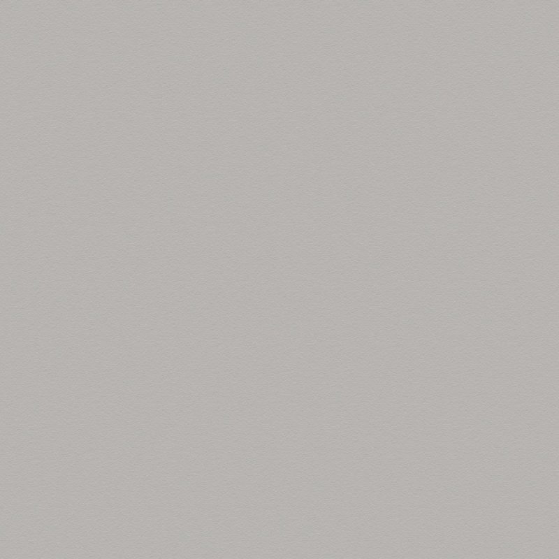 Kleurstaal Wit Aluminium (F70004 MP | F8582 | RAL9006)