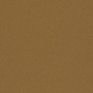 Kleurstaal Koper Metallic  |Pfleiderer F70000 | F8563 Sandpearl (Sandpearl (SD))