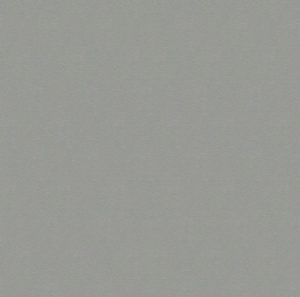 Inox grijs (Pfleiderer F76112 SM)