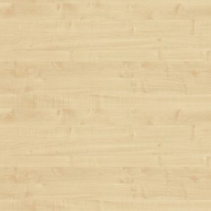 Koningsahorn (Pfleiderer R27001 VV)