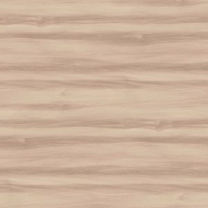 Ulme baron (Pfleiderer R37001 ML)