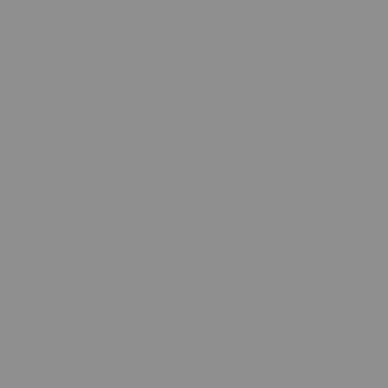 Platium grijs (Pfleiderer U12010 SD)
