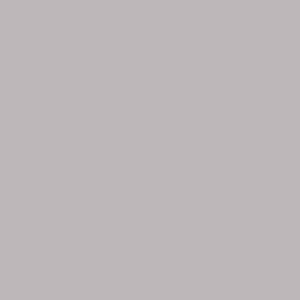 Dolfijngrijs (Pfleiderer U12044 SD)