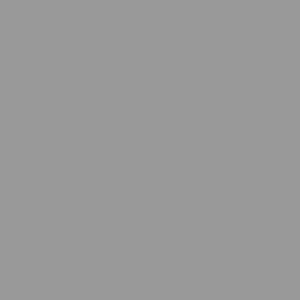 Signaalgrijs (Pfleiderer U12248 SD)