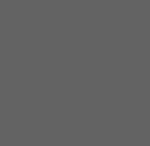 Antracietzwart (Pfleiderer U12290 SD)