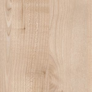 Spits Esdoorn (Pfleiderer R27044 FL)