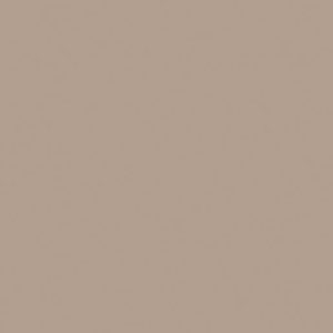 Staal van Truffel Beige (Econ 1060,22860 Mat Natuur)
