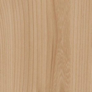 Staal van Elm Isar (Kaindl K2832 AN)
