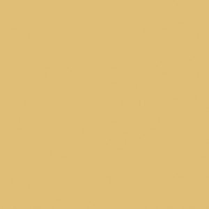 Staal van Saffron Yellow (Kaindl 22863 MN)