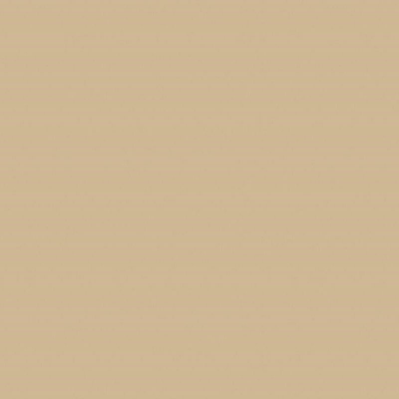 Staal van Sahara Beige (Kaindl 22865 MN)